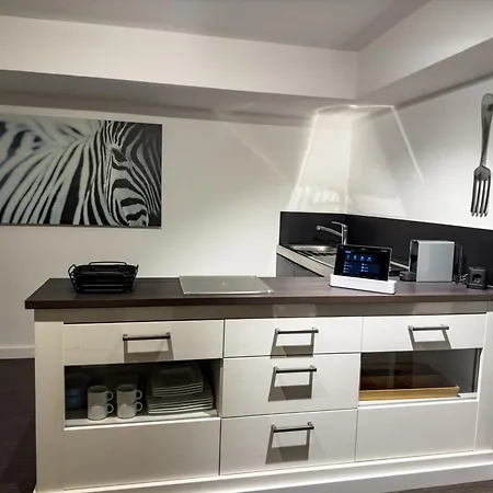 Apartelliment - Smart Uebernachten In דירה *