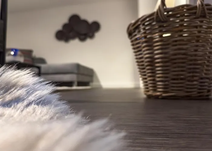 Apartelliment - Smart Uebernachten In Lejlighed Köln